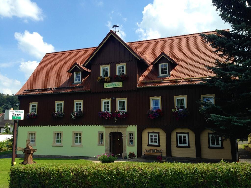 Pension Immergruen Kurort Jonsdorf Zewnętrze zdjęcie
